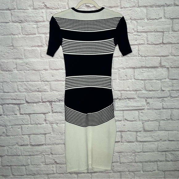 Ministry Of Style White and Black Color Block Knit Bodycon Dress - Picture 6 of 13